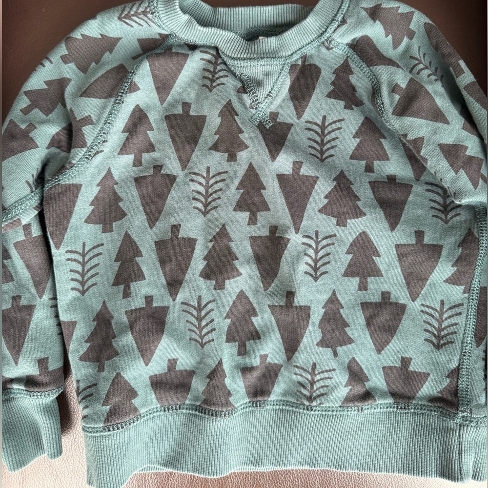 Hanna Andersson Christmas sweatshirt